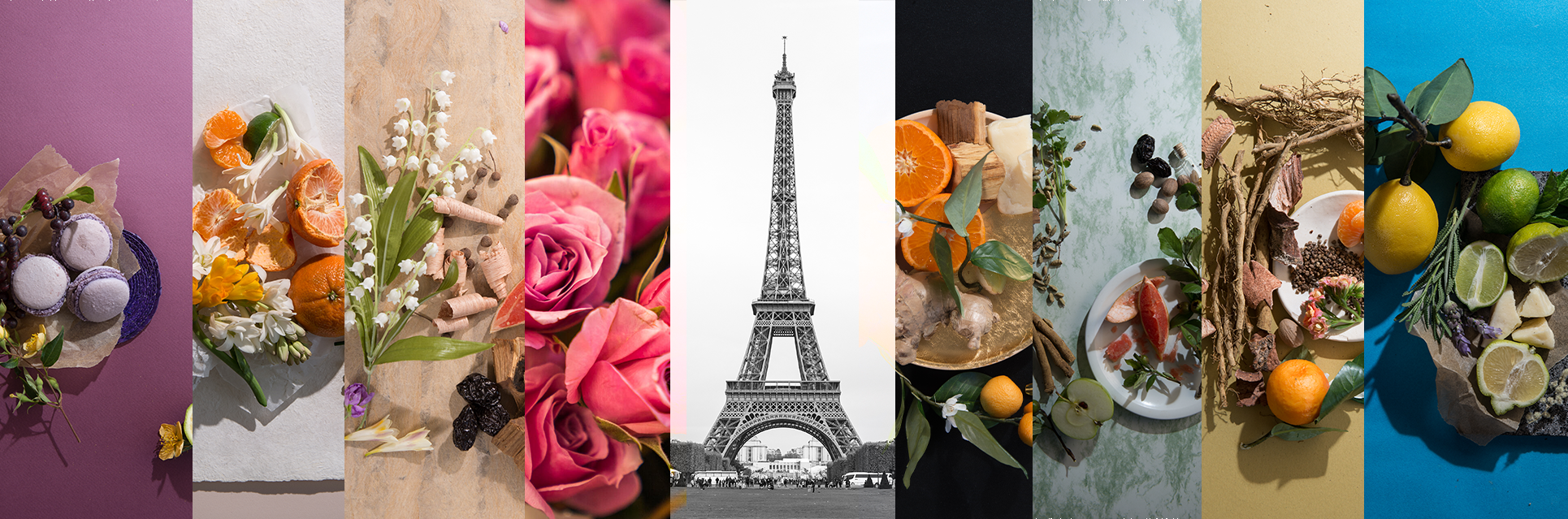 Paris Collection 